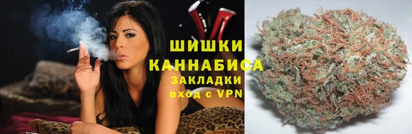 прущие крисы Арсеньев